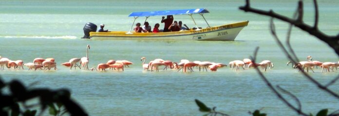 Imagen de Programa Destinos México, 2022