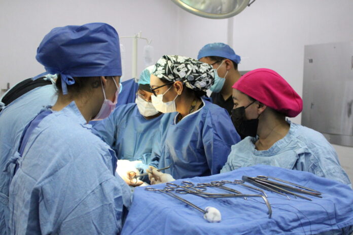 Donación de órganos