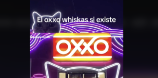 OXXO Gatito