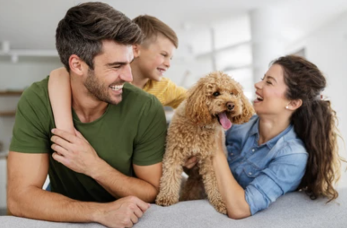 Descubre la felicidad