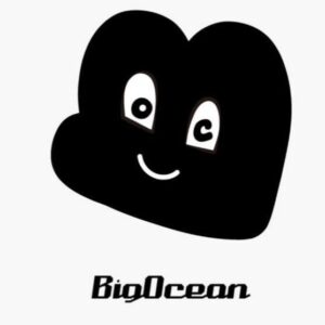 Big Ocean Logo