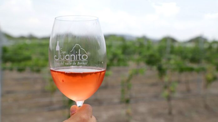 Viñedos San Juanito