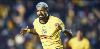 El animal de liguillas