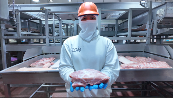 Sabores de Guanajuato