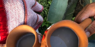Pulqueando en Bóye