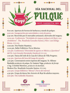 Cronograma evento