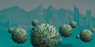 metapneumovirus humano