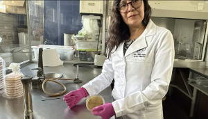 Sofía María Arvizu Medrano