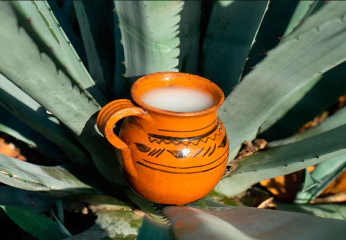 Pulque queretano
