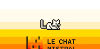 Le chat Mistral