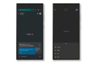 Gemini pasos archivos