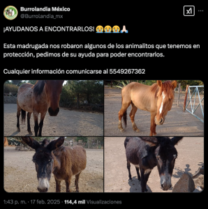 Publicación Burrolandia