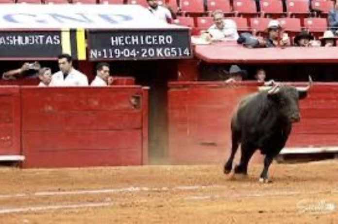 HECHICERO SE INDULTÓ HECHICERO SE INDULTÓ