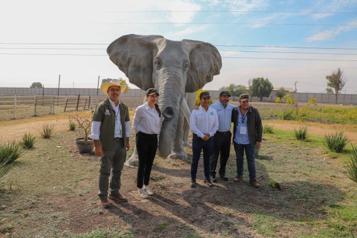 Zoológico Wameru