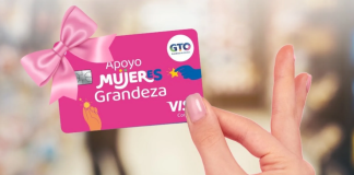 Tarjeta Rosa Guanajuato