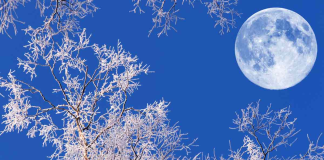 Luna de Nieve 2025