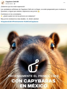 Capybara Cafe Mx anuncio