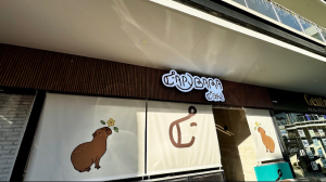 Capybara Cafe Mx