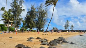 Poipu Beach Park