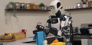 Gemini Robotics