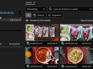 Busqueda avanzada Premiere Pro