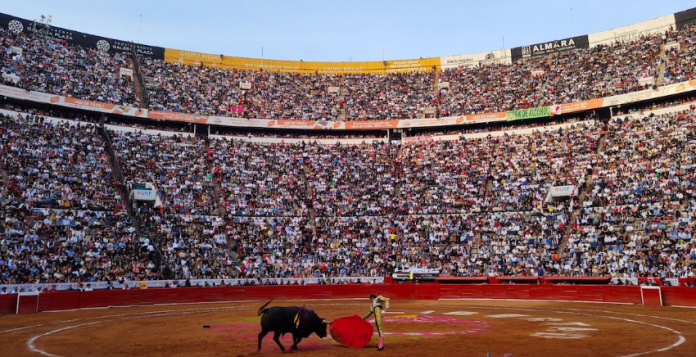 Michoacán prohíbe las corridas de toros