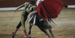 Corridas de toros