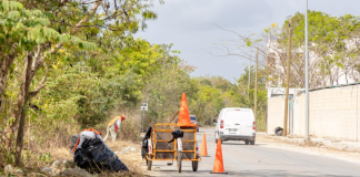 Iniciativas de Mejora Comunitaria en Tulum