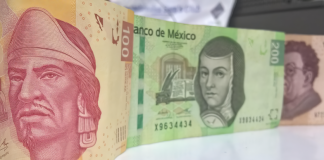 Banxico inicia el retiro de billetes antiguos de 50 y 100 pesos