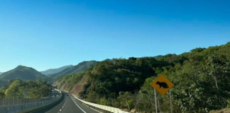 Proyectos Carreteros Prioritarios 2025 – Gobierno de México
