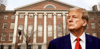 Harvard pierde acceso a inscripción de estudiantes internacionales
