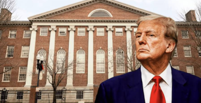 Harvard pierde acceso a inscripción de estudiantes internacionales