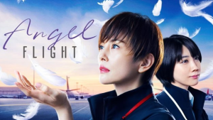 Angel Flight