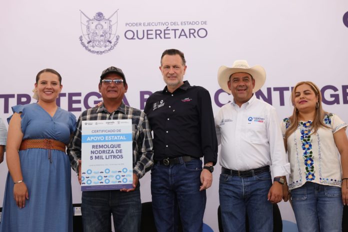 Gobernador