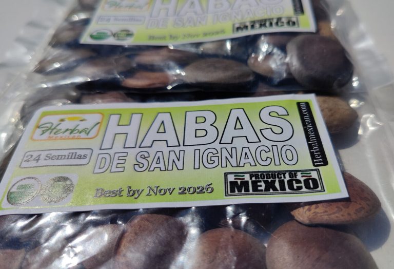 Habas De San Ignacio Como Se Toman alternativo.mx
