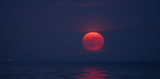 Todo sobre la Luna de Fresa 2025