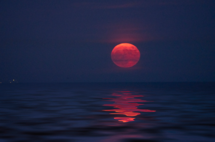 Todo sobre la Luna de Fresa 2025