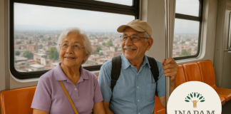 Guía Completa INAPAM 2025