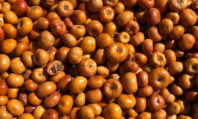 La Pingüica: El secreto de la abuela para cuidar los riñones y más La Pingüica: El secreto de la abuela para cuidar los riñones y más