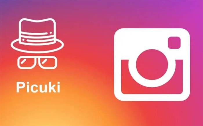 Picuki