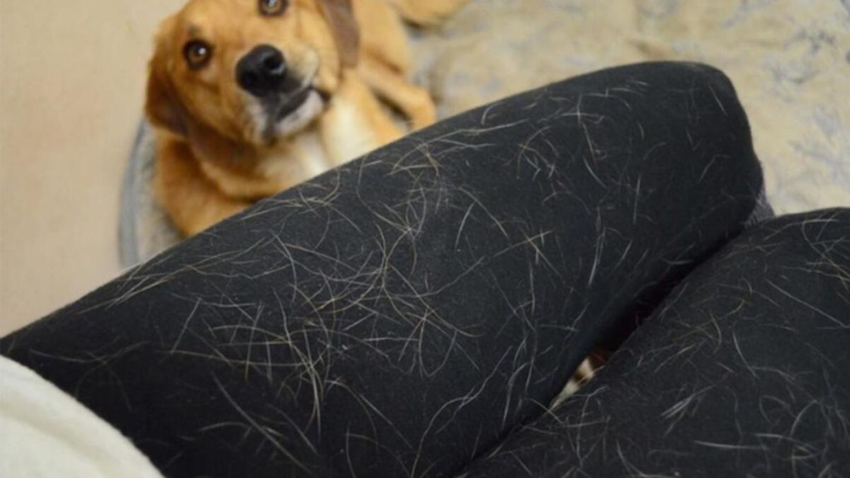 Bolas de papel aluminio en la lavadora