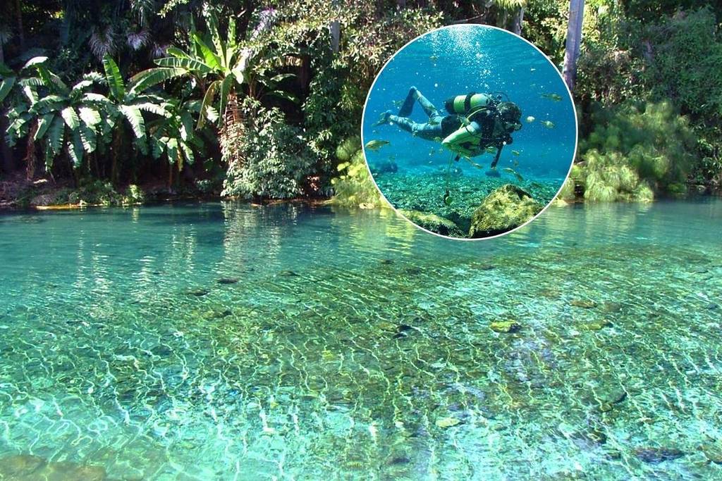 El río de aguas turquesas del parque natural Las Estacas, con los precios actualizados a 2025.