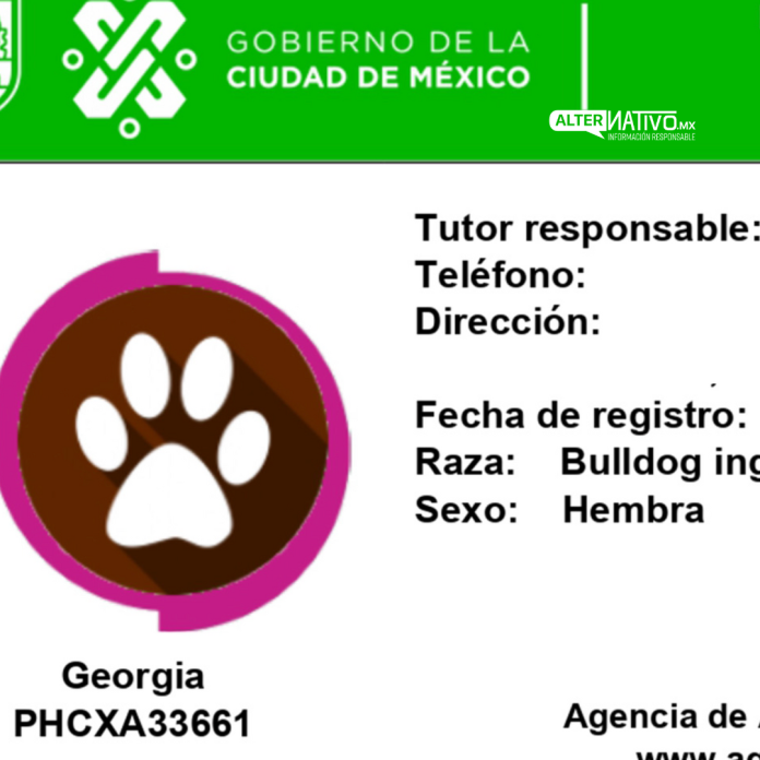 ¿Qué es un registro de mascotas?