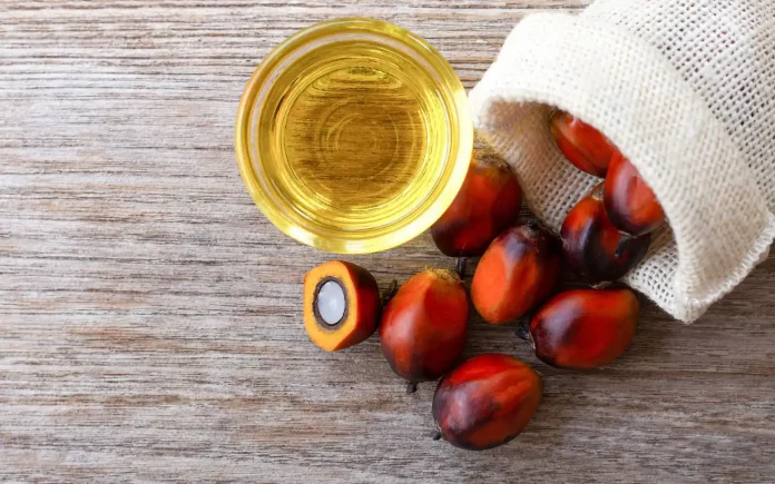Para qué sirve el aceite de batana: el secreto natural para un cabello sano y fuerte
