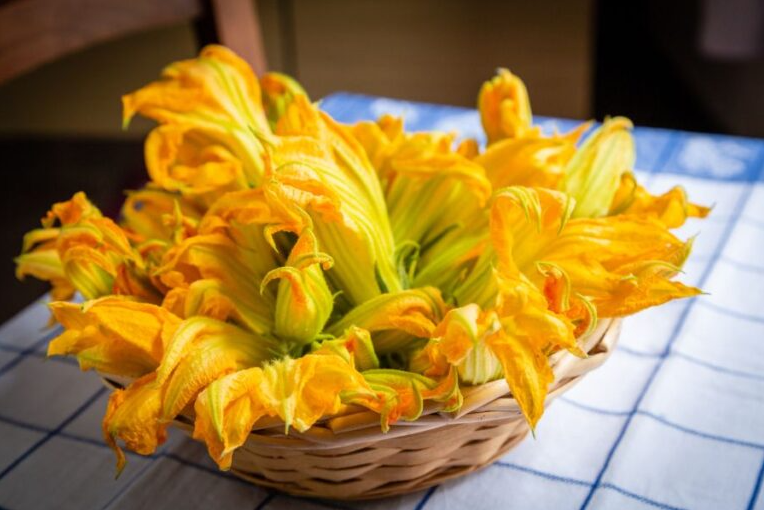 flor de calabaza