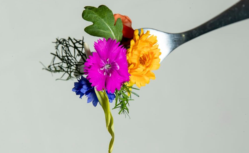 flores comestibles