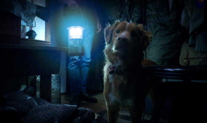Muere el perro en Good Boy