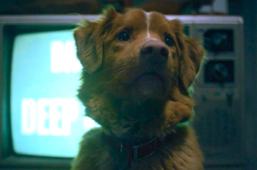 Good Boy