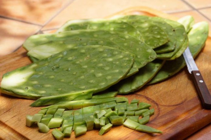 Cómo quitar la baba a los nopales: 4 trucos caseros que sí funcionan