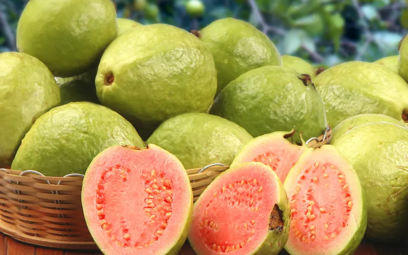 Conoce todas las propiedades de la guayaba